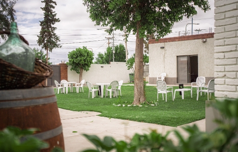 El Jardín de mis Abuelos El Jardín de mis Abuelos